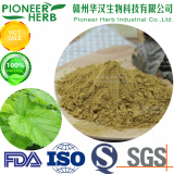 mulberry leaf extract 1_DNJ 1_Deoxynojirimycin manufacturer